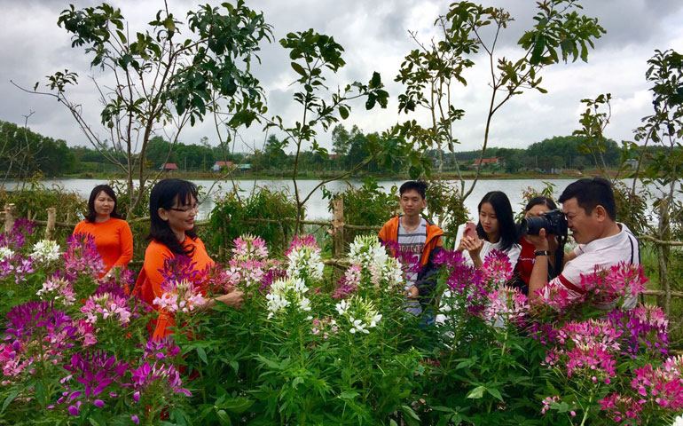 Phú Yên Khởi sắc du lịch Sơn Hòa