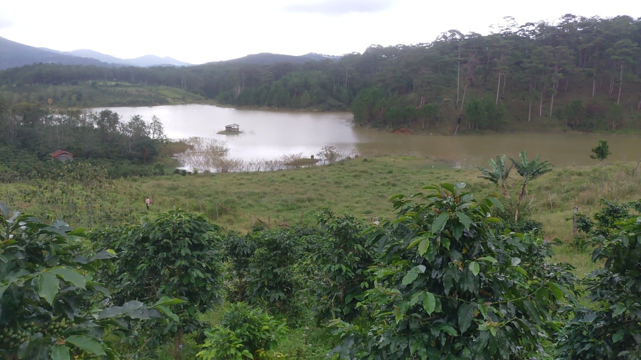 Đất view hồ Đa Nhim Đà Lạt