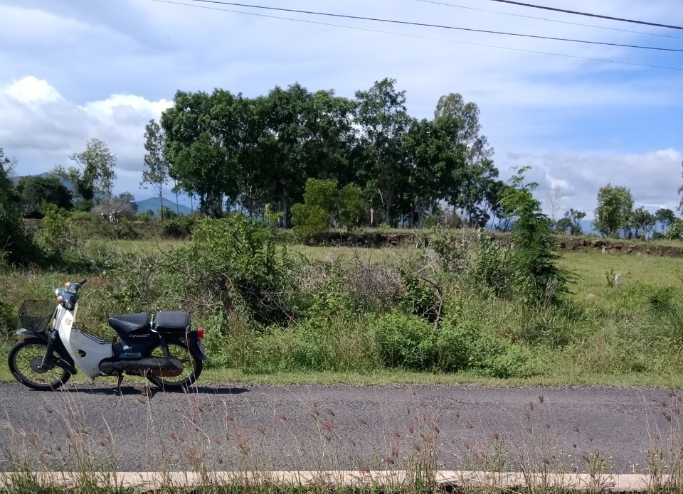 Đất Suối Bạc 3, thị trấn Củng Sơn, huyện Sơn Hòa, Phú Yên