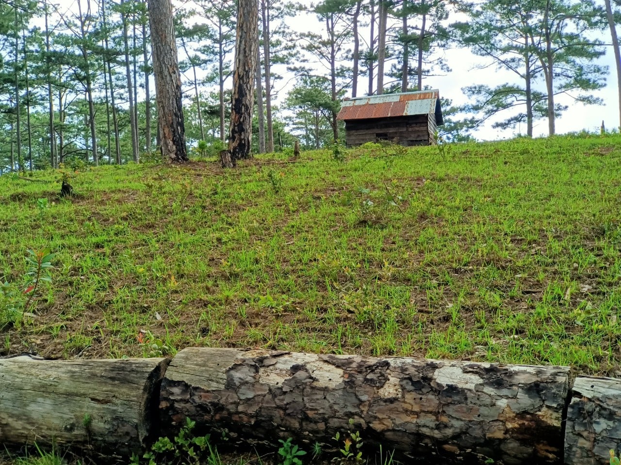 Đất vườn Đa Nhim Đà Lạt - có sổ nông nghiệp gần 6000m2 