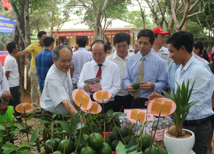 Khai trương Tuyến du lịch cao nguyên Vân Hoà