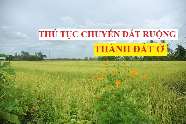 Thủ tục chuyển đổi mục đích sử dụng đất ruộng thành đất ở?