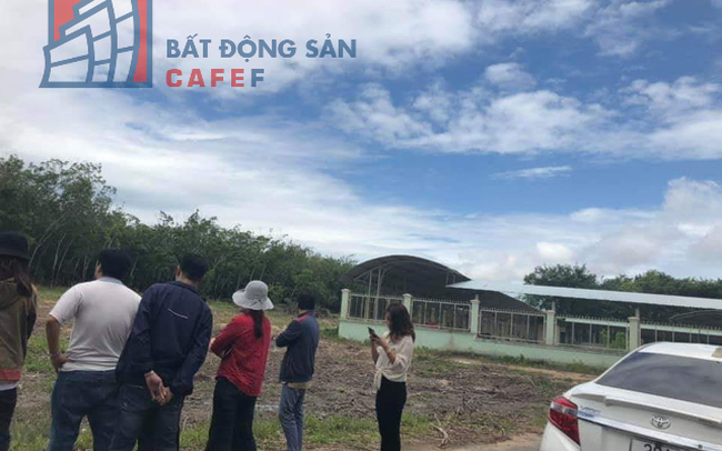 Dòng tiền sẽ “đổ” mạnh vào phân khúc BĐS nào trong năm 2020? Dòng tiền sẽ “đổ” mạnh vào phân khúc BĐS nào trong năm 2020?